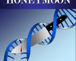 Second Honeymoon Cover