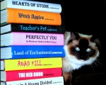 Cat O' 9 Tales Cover